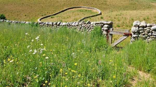 Top 5 façons de pratiquer la permaculture en Loire-Atlantique