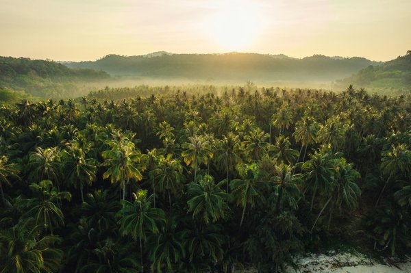 Comment découvrir les plages de sable noir en Islande : itinéraires et conseils ?